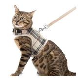 PUPTECK Soft Mesh Cat Vest Harness and Leash Set Puppy Padded Pet Harnesses Escape Proof for Cats Small Dogs Rabbits Bunny, Plaid Beige, L