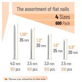 Mr. Pen- Nail Assortment Kit, 600 Pcs, 4 Sizes, Silver, Small Nails for Hanging Pictures, Finishing Nails