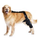MerryMilo Dog Knee Brace for Torn ACL, Leg Brace for Cruciate Ligament, Arthritis Relief, Joint Stability and Injury Recovery, Size: S, Color: Black