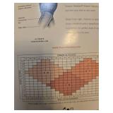 Hanes Hosiery Collection - 3 Pairs Bundle