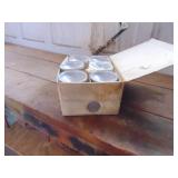 Plator Champagne Glasses