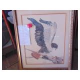 Framed Print - Hawk - By Gene Gray - Signed and Numbered