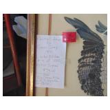 Framed Print - Hawk - By Gene Gray - Signed and Numbered