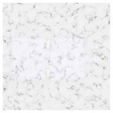 Clarity Transparent See Through Clear PVC Planner Personal Organizer Binder Cover (Discbound, A5 / Junior Size) - Retail: $18