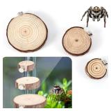 3pcs Jumping Spider Enclosure Ledges, Magnetic Jumping Spider Enclosure Ledges Ladder Magnets Jumping Spider Habitat Pet Spider Enclosure Accessories - Retail: $7