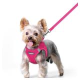 Dog Harness Small Sized and Leash Set, Step in Soft Light Puppy Vest, Breathable Mesh Pet Harness, Reflective for Safe Easy Walking, Rose Red XS - Retail: $15
