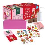 Garden Republic Jr. Strawberry Shortcake Decorate and Grow Starter Kit - Retail: $30