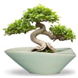 EPFamily Bonsai Pot - 12 Inch Ceramic Planter Pot with Drainage Hole Large Modern Planter Decorative Glazed Succulent Plant Pot for Indoor Outdoor Plants Green - Retail: $40