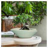 EPFamily Bonsai Pot - 12 Inch Ceramic Planter Pot with Drainage Hole Large Modern Planter Decorative Glazed Succulent Plant Pot for Indoor Outdoor Plants Green - Retail: $40