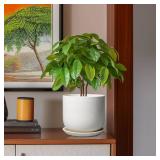 SUNPOTFOR Ceramic Plant Pot - Modern 8 Inch Round Planter for Indoor Outdoor Plants with Drainage Hole and Saucer, Home House Room Office Decor, White - Retail: $37