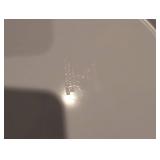 Warren Kimble Coastal Lighthouse Decorative Plate