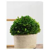 Serene Spaces Living Preserved Boxwood Oval Topiary in a Pot, Boxwood in Planters, Preserved Plant for Boxwood Table Decor, Centerpiece, Measures 12.5' Tall, 7.5' Wide & 14' Long