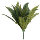 Ashland Boston Fern Bush Fern Collection