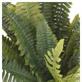 Ashland Boston Fern Bush Fern Collection