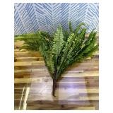 Ashland Boston Fern Bush Fern Collection