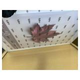 Americanflat 24x36 Poster Frame with Polished Plexiglass - Wide Picture Frames Made of Engineered Wood for Vertical or Horizontal Wall Display - Epic Collection - Driftwood