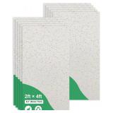 Retails for $128! 2ft x 4ft Printed Pro Ceiling Tiles - PVC Ceiling Panel 24 x 48in Waterproof, Washable and Fire-Rated - High-Grade PVC to Prevent Breakage-Cover 80 Sq. Ft-Package of 10 Tiles