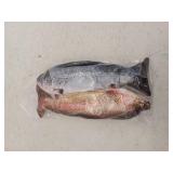 TOOGE 2 Pack 9in Floppy Fish Cat Toys