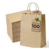 Kraft Paper Gift Bags - 100 Pack