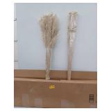 Natural Pampas Grass Bundle - 40 inch Stems