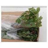 Faux Black Olive Tree, 7ft