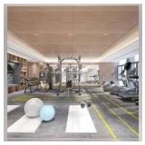 56X24 2Pack Large Home Gym Mirror