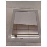 Style Selections 19.5-in x 23.7-in Surface Mount Gray Mirrored Rectangle Medicine Cabinet