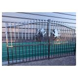 14' Decorative Iron Driveway Gates with Lion Design 14' Decorative Iron Driveway Gates with Lion Design