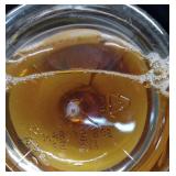 Jordan s Skinny Mixes Sugar Free Vanilla Syrup  25.4 Fl Oz