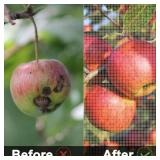 6-Pack 3.3ft x 2.3ft Drawstring Fruit Protection Bags and Garden Netting Covers, Ideal for Tomato Barrier, Vegetable and Flower Plants