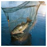 Mystery Fishing Gift Box for Him   Fun Angling Surprises, Valentine s Day Present for Boyfriend, Son, Husband & Outdoor Hobby Fans