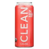 Clean Cause Organic Zero Calorie Watermelon Mint Sparkling Yerba Mate 16 oz (Pack of 4)