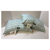 DKNY Striped Throw Pillows Set - Retail: $35 DKNY Striped Throw Pillows Set - Retail: $35