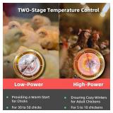 Chicken Coop Heater Inside Coop heat lamp 300 Watt Two-Stage Temperature Brooder Heater for Chicks and Ducks