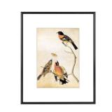 8x10 Picture Frame, Black Aluminum Metal Photo Frames with HD Glass, Fits 5x7 with Mat or 8 x 10 without Mat, Display for Wall and Table - Retail: $15