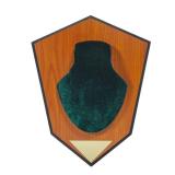 Allen Company Hunting Trophy Antler Mounting Kit, Green Skull Cover - Retail: $20