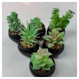 6 Pcs Green Artificial Succulent Plants in Black Plastic Pots Mini Faux Succulent Plants Indoor Room Decor Aesthetic Bedroom Shelf Desk Bathroom Office Table Home Decoration - Retail: $10