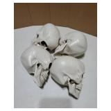 Skulls Halloween Decor, 5 Inch Plastic Fake Skeletons, Mini Skulls for Crafts Outdoor Halloween Decorations, Realistic Miniature Human Skull Heads (4) - Retail: $20