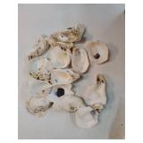 15PCS Oyster Shells for Crafts, Natural Concave Sea Shells Bulk/DIY Home Decor, Vase Filler, Jewelry Making, Candle Making, Xmas Ornaments, Beach Wedding, Coastal Decor