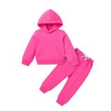 YOUNGER TREE Baby Clothes for Girls Boy Solid Color Hoodie and Sweatpants Outfit Toddler Sweatsuit (Rose red, 2-3 T) - Retail $23 YOUNGER TREE Baby Clothes for Girls Boy Solid Color Hoodie and Sweatpants Outfit Toddler Sweatsuit (Rose red, 2-3 T) - Retail $23