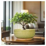 G EPGardening Bonsai Tree Pot - 8 Inch Ceramic Planter for Indoor Plants Flower, Shallow Round Succulent Bowl with Drainage and Saucer, Boho Office Decor, Gifts for Plant Lovers, Green G EPGardening Bonsai Tree Pot - 8 Inch Ceramic Planter for Indoor Plants Flower, Shallow Round Succulent Bowl with Drainage and Saucer, Boho Office Decor, Gifts for Plant Lovers, Green