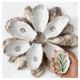 Chesapeake Bay Oyster shells Chesapeake Bay Oyster shells