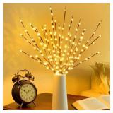 DK177 2 Pack Led Branch Light Battery Operated Lighted Branch Vase Filler Willow Tree Artificial Little Twig Power Brown 30 Inch 20 LED for Home Romantic Decoration, Warm White