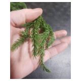 6FT Christmas Garlands Norfolk Pine Garland, Real Touch Artificial Greenery Garland, Indoor & Outdoor Holiday Xmas Decortions, for Mantle, Staircase, Banister, Fireplace, Wall, Door, Table