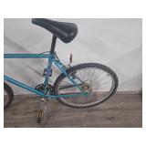 Fuji Thrill Mountain Bike Fuji Thrill Mountain Bike