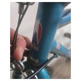 Fuji Thrill Mountain Bike Fuji Thrill Mountain Bike