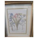 Set of 3 Framed Botanical Prints Set of 3 Framed Botanical Prints