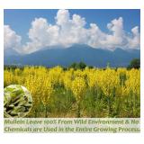 ULTHMOK Premium Mullein Leaf Tea,50 Tea Bags.for Lungs Cleanse and Respiratory Support, No Additives & Caffeine Free.