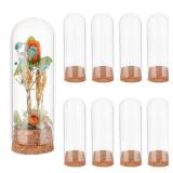 BENECREAT 12Pcs Glass Display Dome with Cork Base, 1.4x3.9inch Glass Bottles Jars, Cloche Bell Jar for Flower Plants, Specimens, Crafts BENECREAT 12Pcs Glass Display Dome with Cork Base, 1.4x3.9inch Glass Bottles Jars, Cloche Bell Jar for Flower Plants, Specimens, Crafts