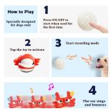 Interactive Dog Toys - Bouncing Crab with Music and Recording, Moving Ball for Small/Medium/Large Puppy to Keep Them Busy for Boredom, Smart Motion Activate Pet Toy, Rehargeable (Angry-Looking) Interactive Dog Toys - Bouncing Crab with Music and Recording, Moving Ball for Small/Medium/Large Puppy to Keep Them Busy for Boredom, Smart Motion Activate Pet Toy, Rehargeable (Angry-Looking)